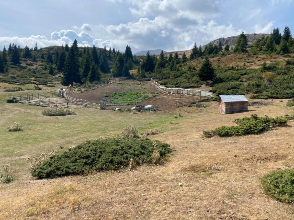 Villa 80 Kodra e Diellit Tetovo Esterno foto