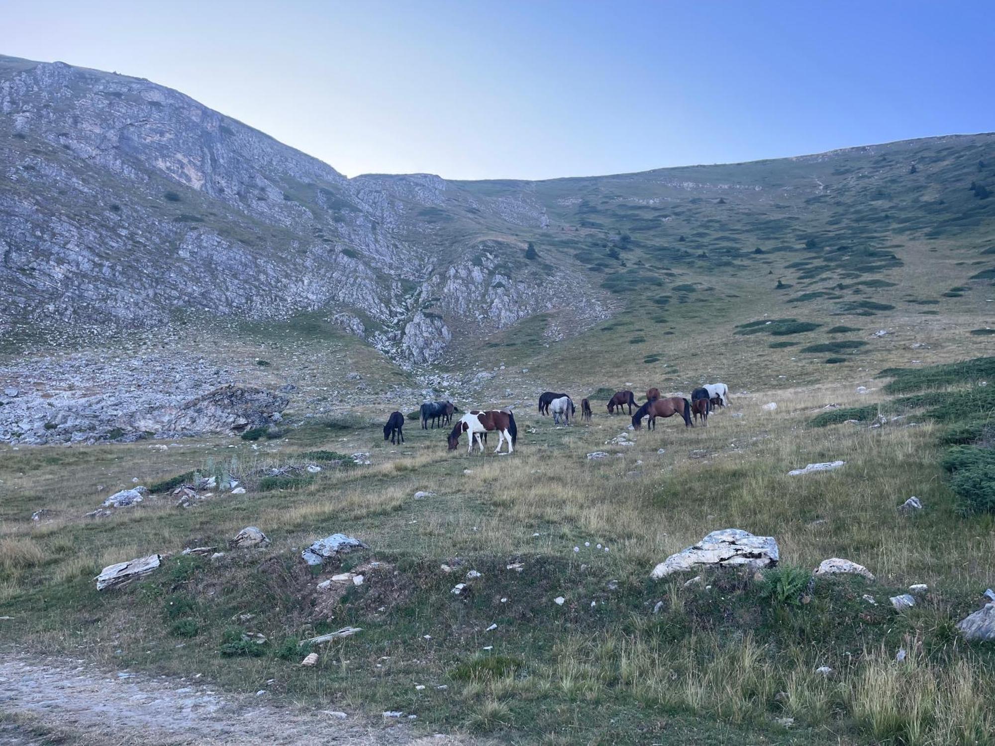 Villa 80 Kodra e Diellit Tetovo Esterno foto